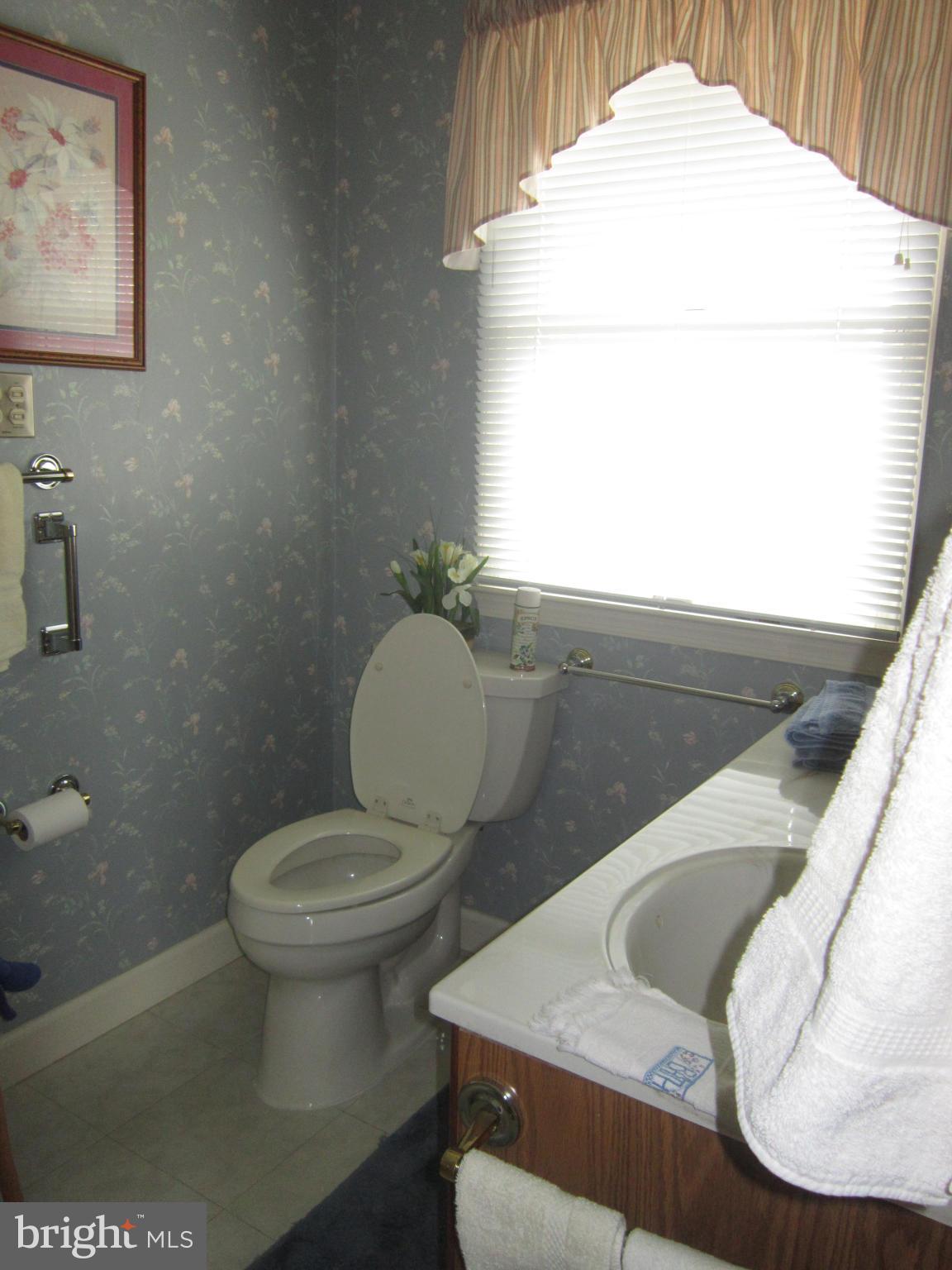 3801 Hunting Ridge Road Winchester, VA 22603 - Photo 13 of 20 Bath (Master)