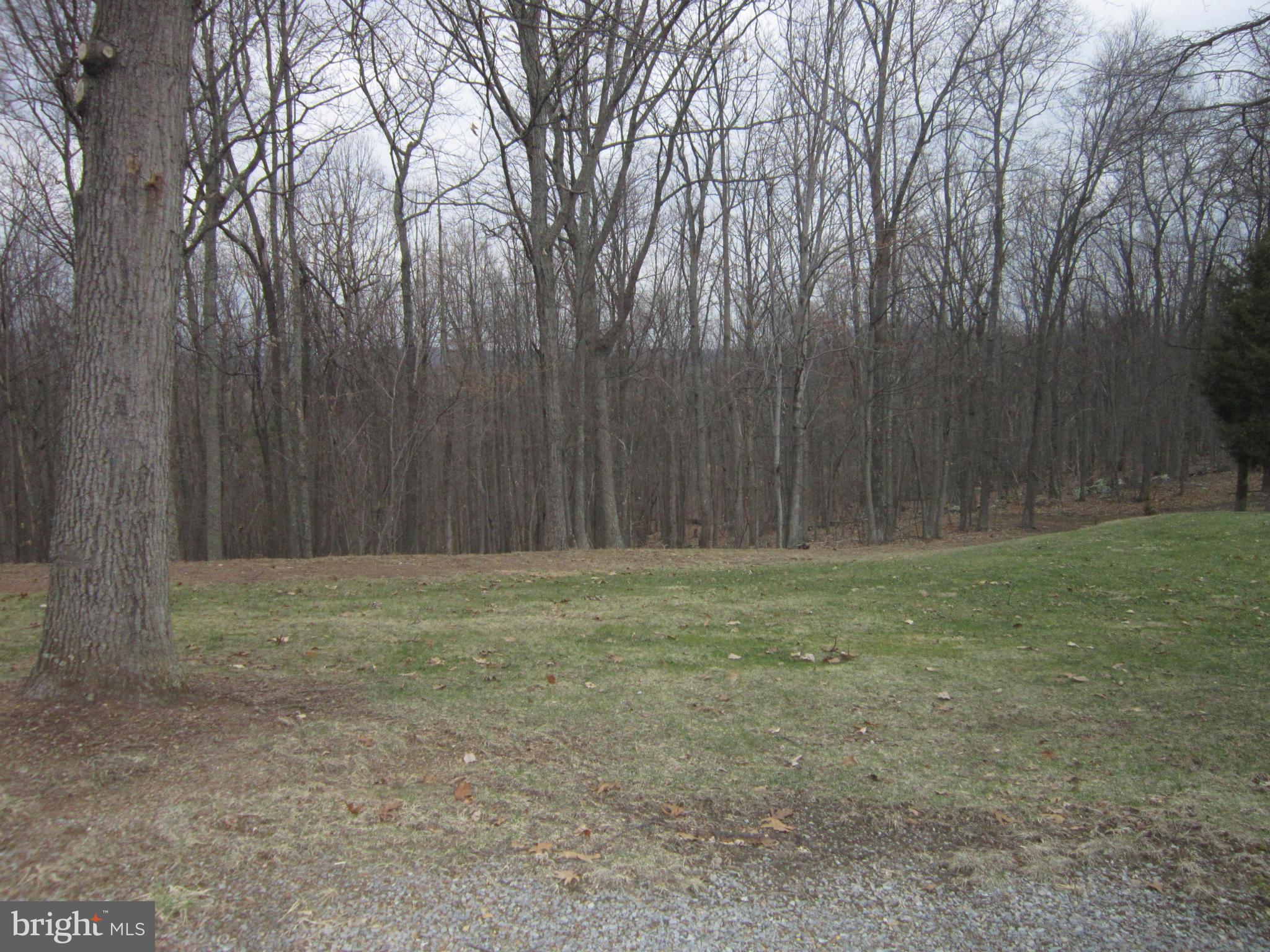 3801 Hunting Ridge Road Winchester, VA 22603 - Photo 19 of 20 Exterior (Rear)