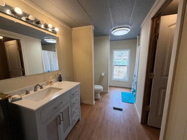 a bathroom with a sink a mirror and a toilet