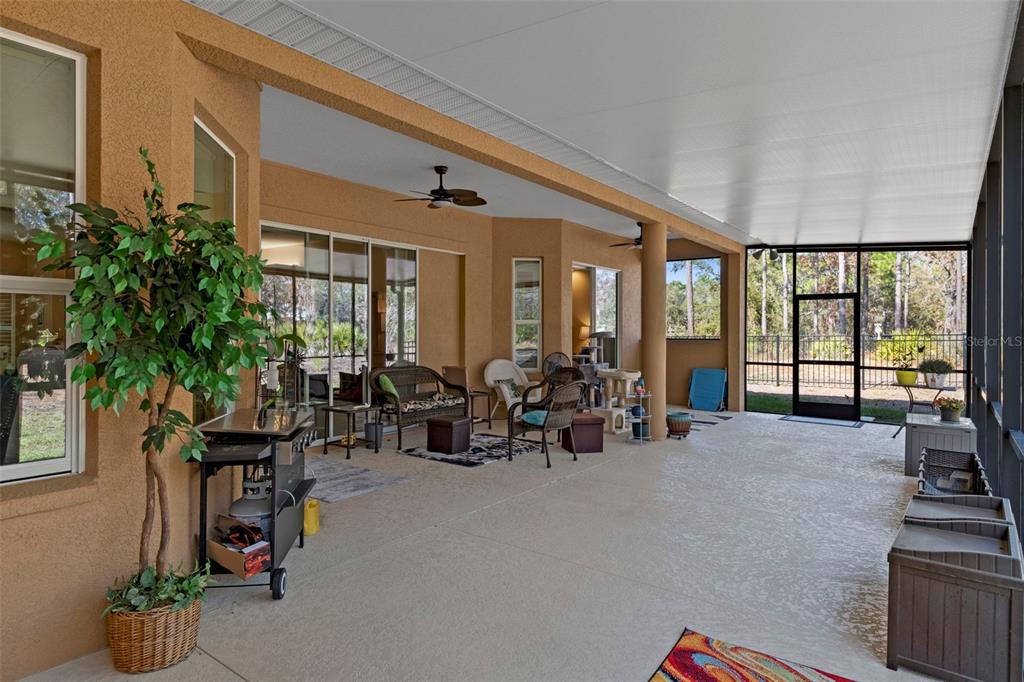 39 Linder Street Homosassa, FL 34446 - Photo 37 of 63 a view of a livingroom with furniture and a potted plant