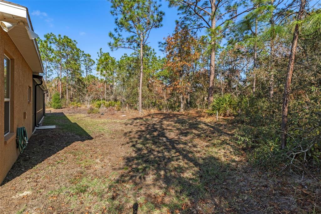 39 Linder Street Homosassa, FL 34446 - Photo 42 of 63 a view of a yard with plants and trees