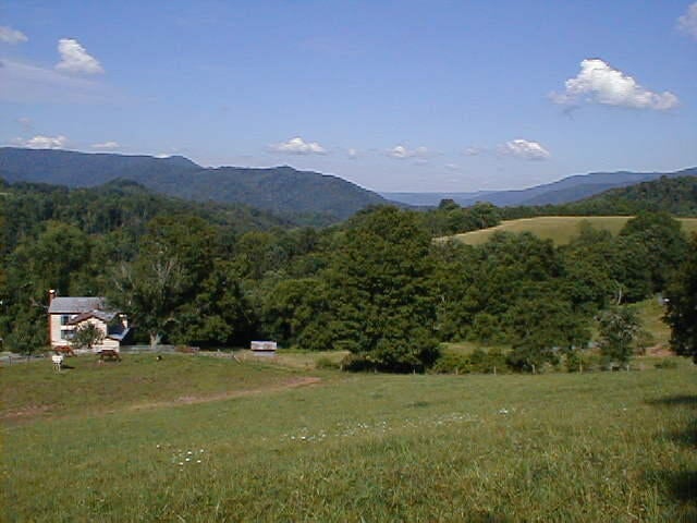 248 Somerset Farm Road Meadow Bridge, WV 25976 - Photo 90 of 98 Gallery Image 90