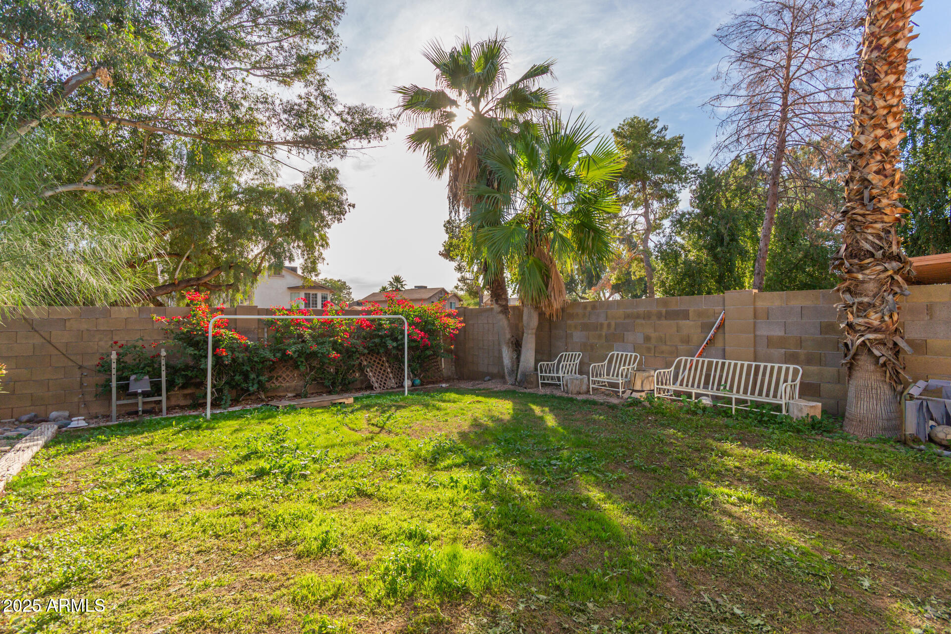 1704 South 39th Street, Unit 24 Mesa, AZ 85206 - Photo 19 of 20 a view of a backyard with a small cabin