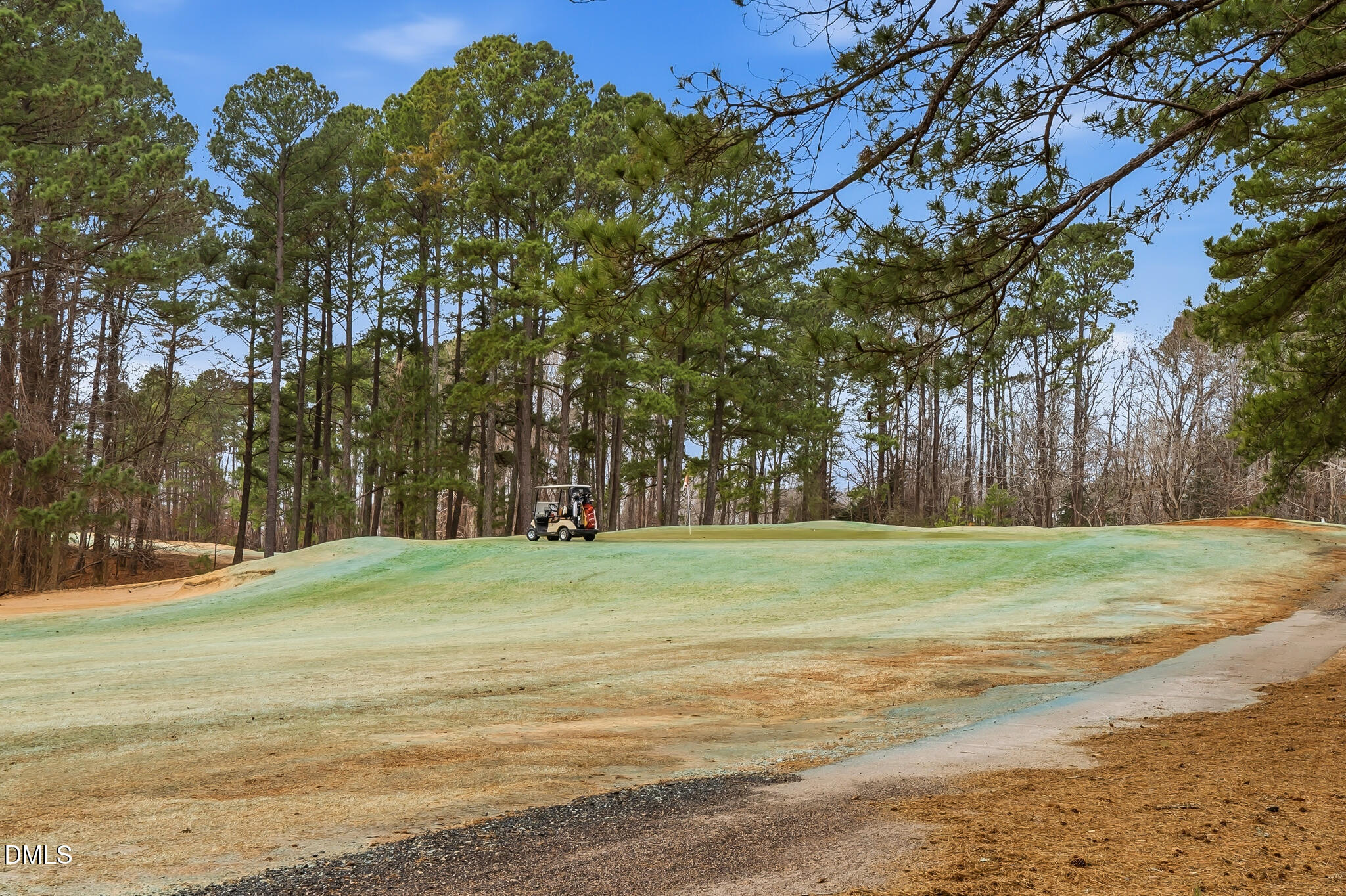2662 Sledge Road Louisburg, NC 27549 - Photo 50 of 51 DSC01379