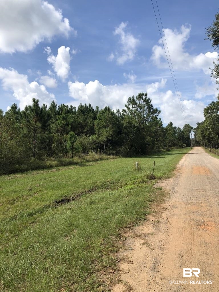 0 Fell Road Elberta, AL 36530 - Photo 2 of 13