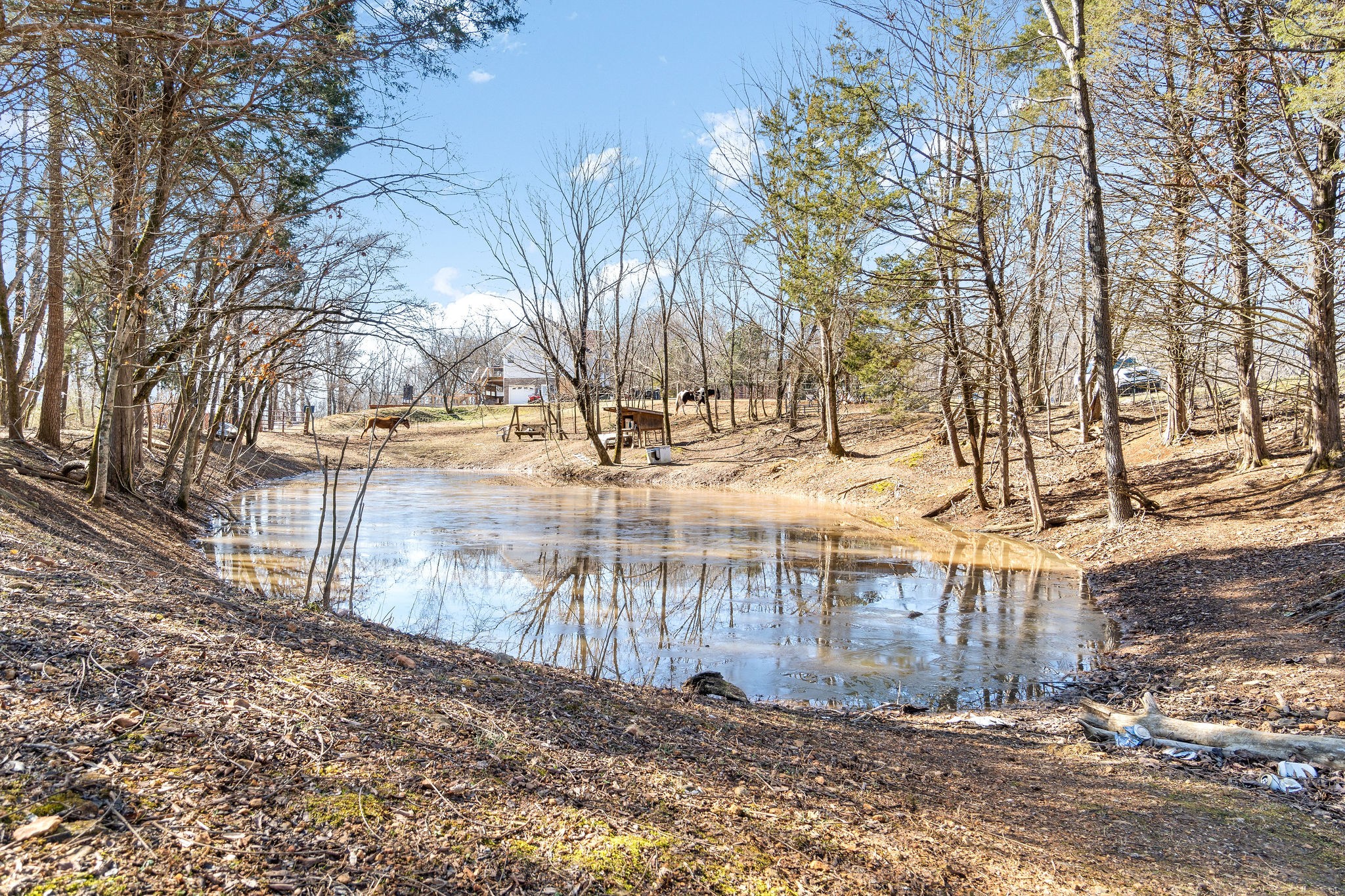 2876 Benton Ridge Road Palmyra, TN 37142 - Photo 1 of 35 Gallery Image 1
