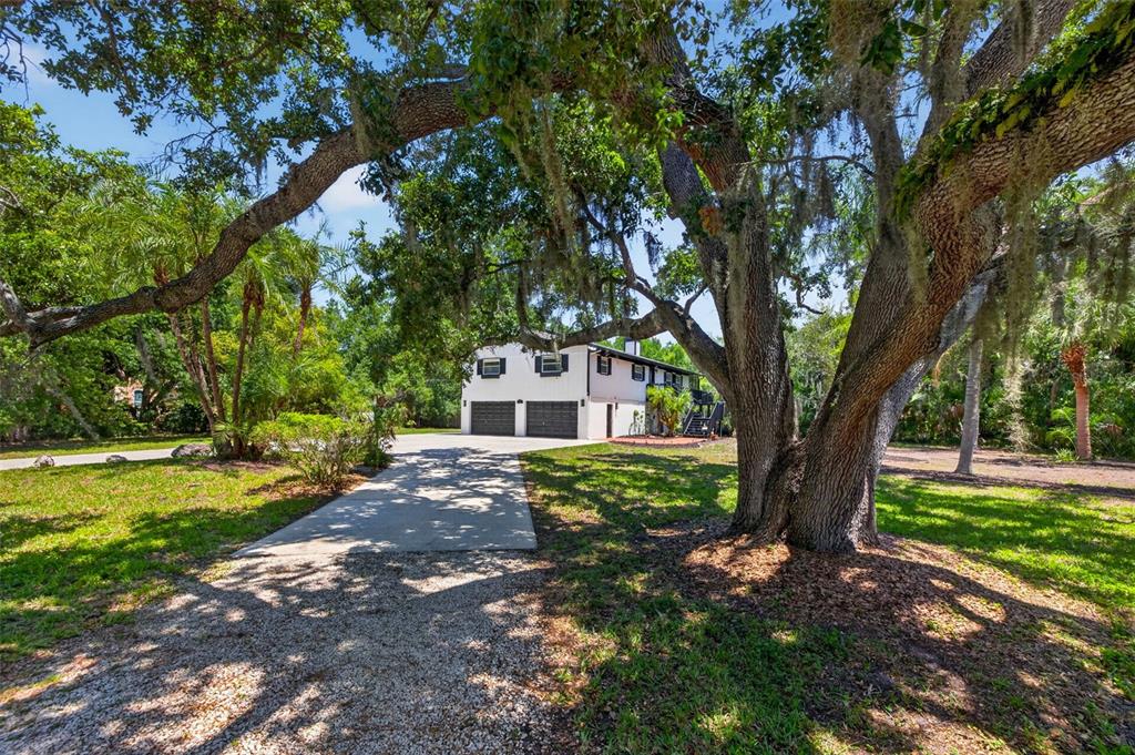 1007 State Street East Oldsmar, FL 34677 - Photo 5 of 65