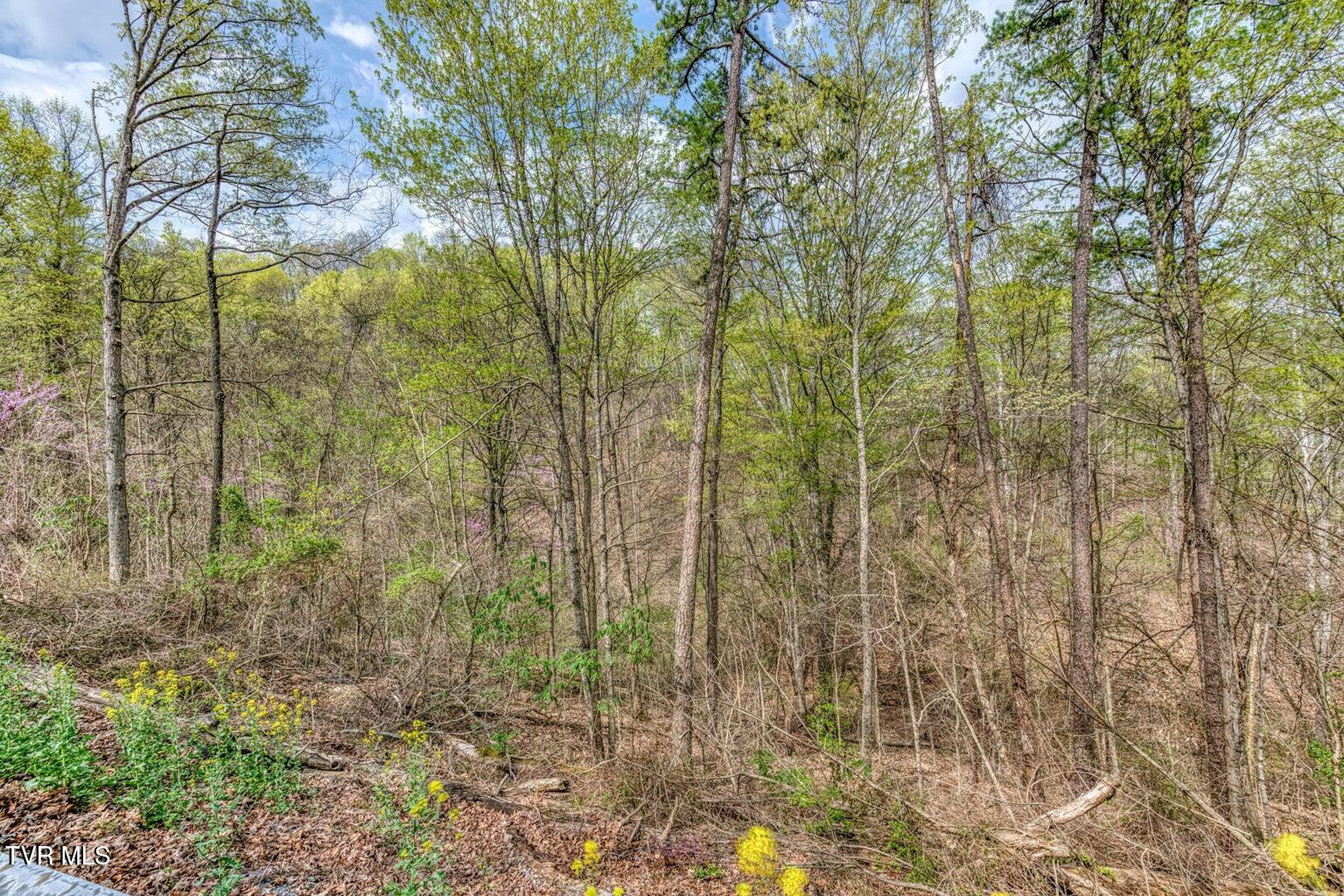 635 Harbor Springs Road Kingsport, TN 37664 - Photo 11 of 19 20250407142625235636000000-o