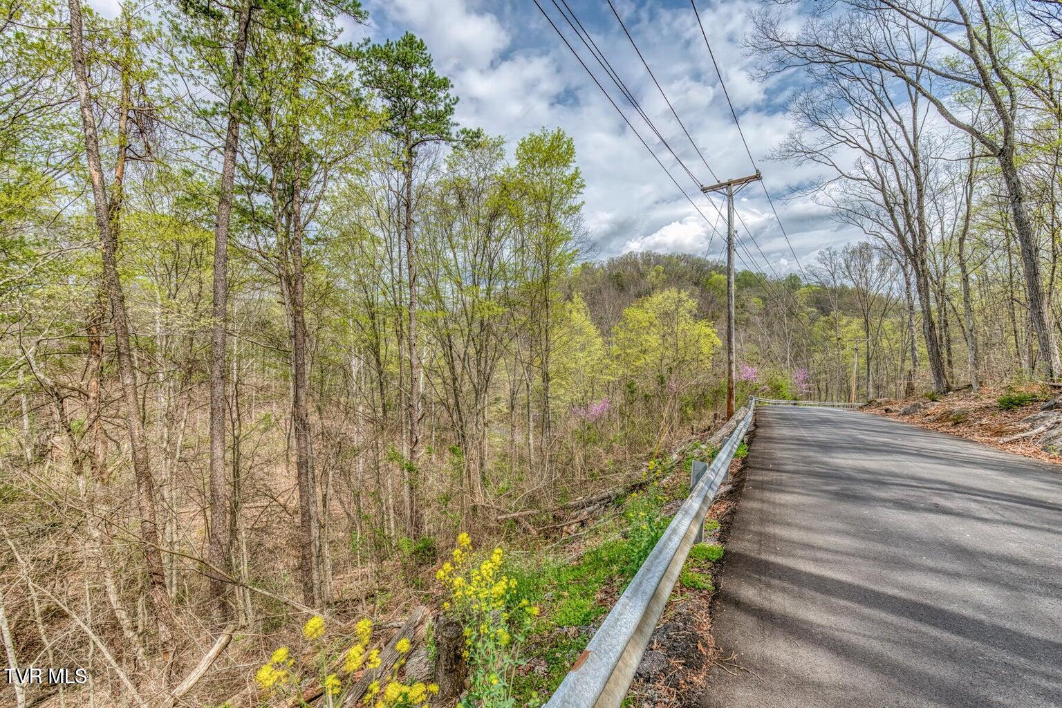 635 Harbor Springs Road Kingsport, TN 37664 - Photo 12 of 19 20250407142628645382000000-o