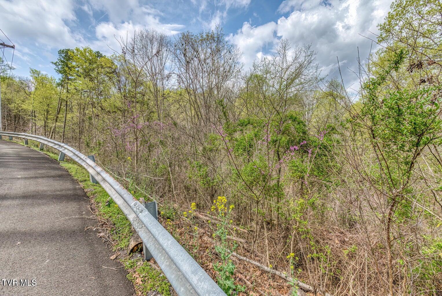 635 Harbor Springs Road Kingsport, TN 37664 - Photo 13 of 19 20250407142632045747000000-o