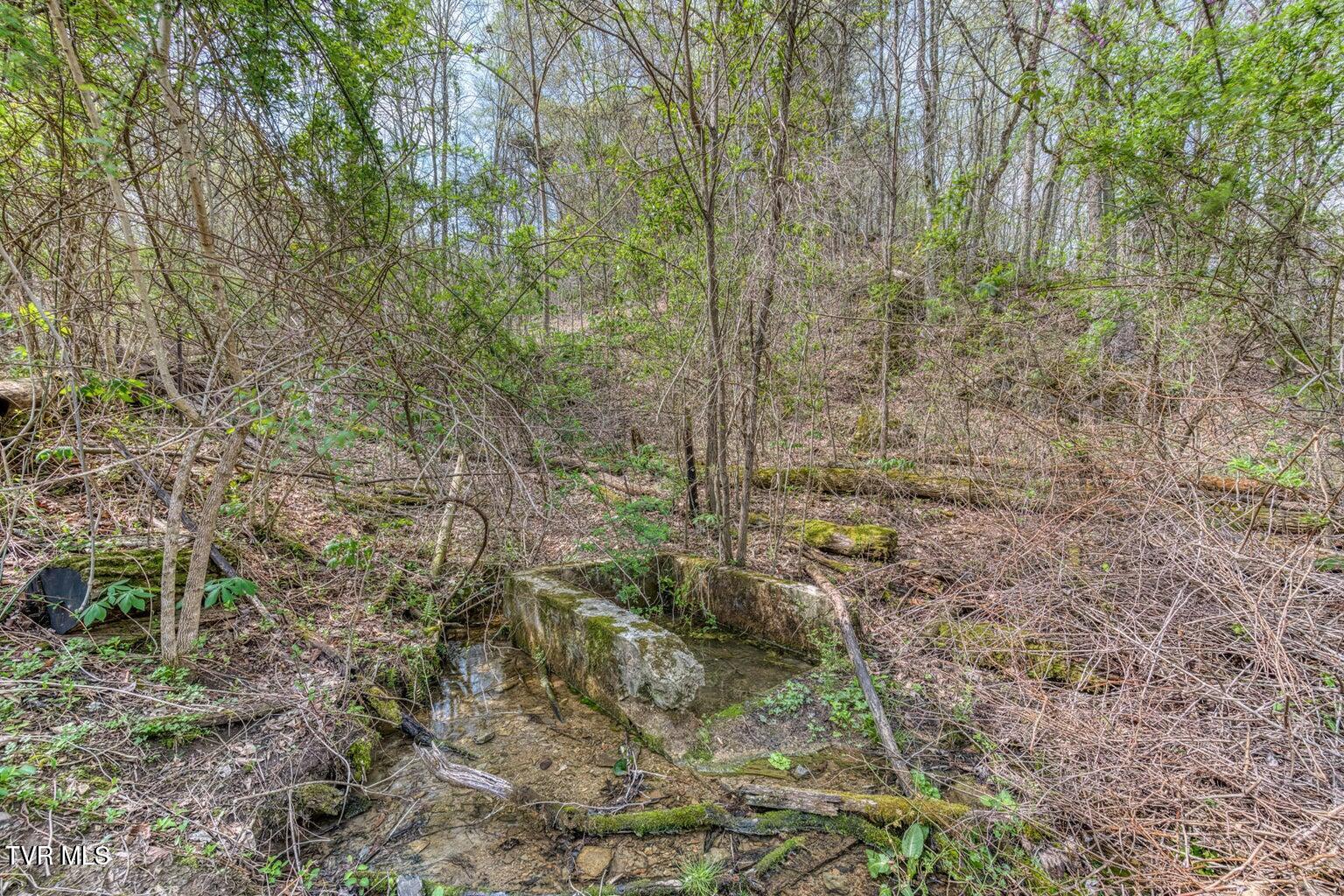 635 Harbor Springs Road Kingsport, TN 37664 - Photo 14 of 19 20250407142639316998000000-o