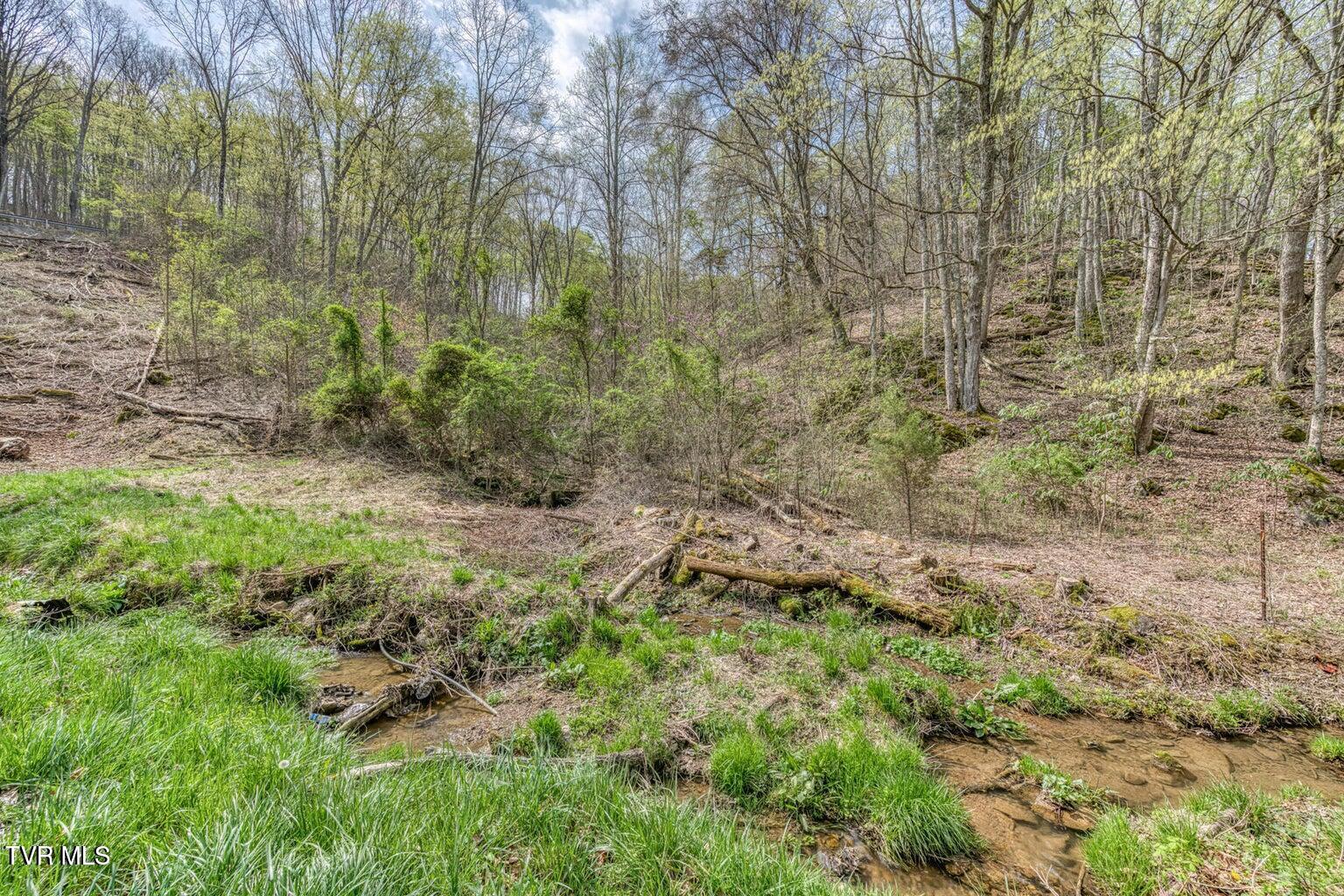 635 Harbor Springs Road Kingsport, TN 37664 - Photo 15 of 19 20250407142643074415000000-o