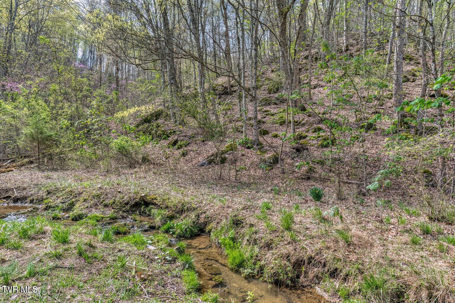 635 Harbor Springs Road Kingsport, TN 37664 - Photo 16 of 19 20250407142647139827000000-o