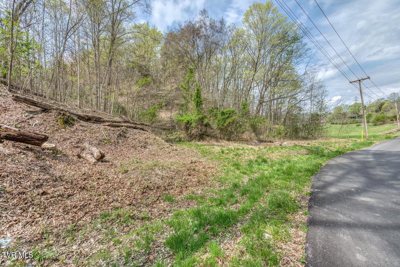 635 Harbor Springs Road Kingsport, TN 37664 - Photo 2 of 19 20250407142635637987000000-o