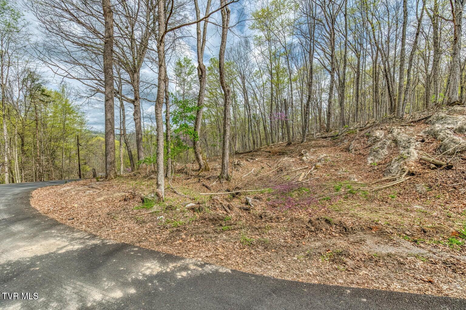 635 Harbor Springs Road Kingsport, TN 37664 - Photo 3 of 19 20250407142555720189000000-o