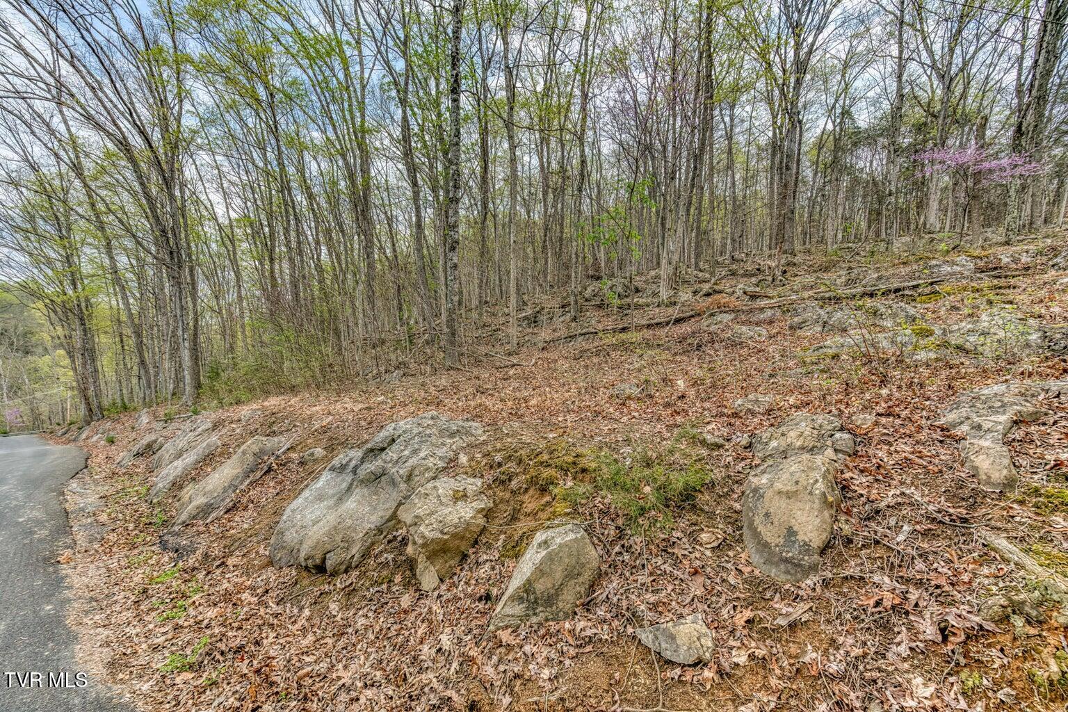 635 Harbor Springs Road Kingsport, TN 37664 - Photo 4 of 19 20250407142559467499000000-o