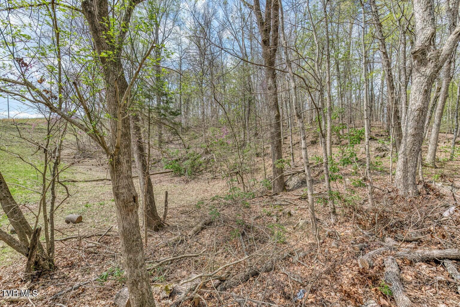 635 Harbor Springs Road Kingsport, TN 37664 - Photo 5 of 19 20250407142603193567000000-o