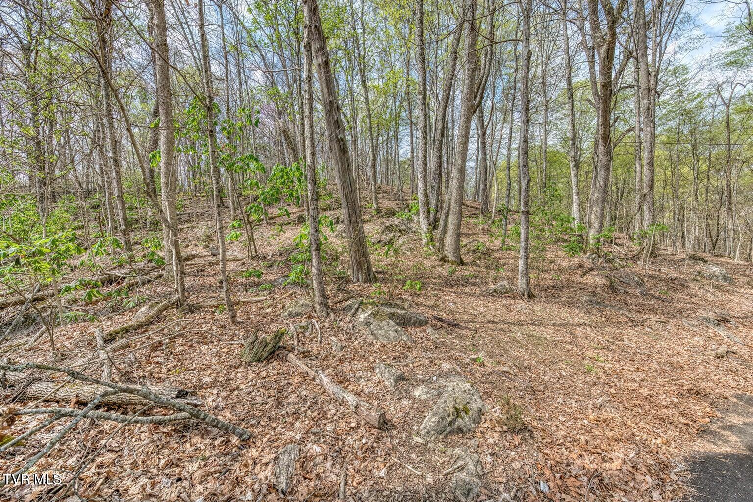 635 Harbor Springs Road Kingsport, TN 37664 - Photo 6 of 19 20250407142607166802000000-o