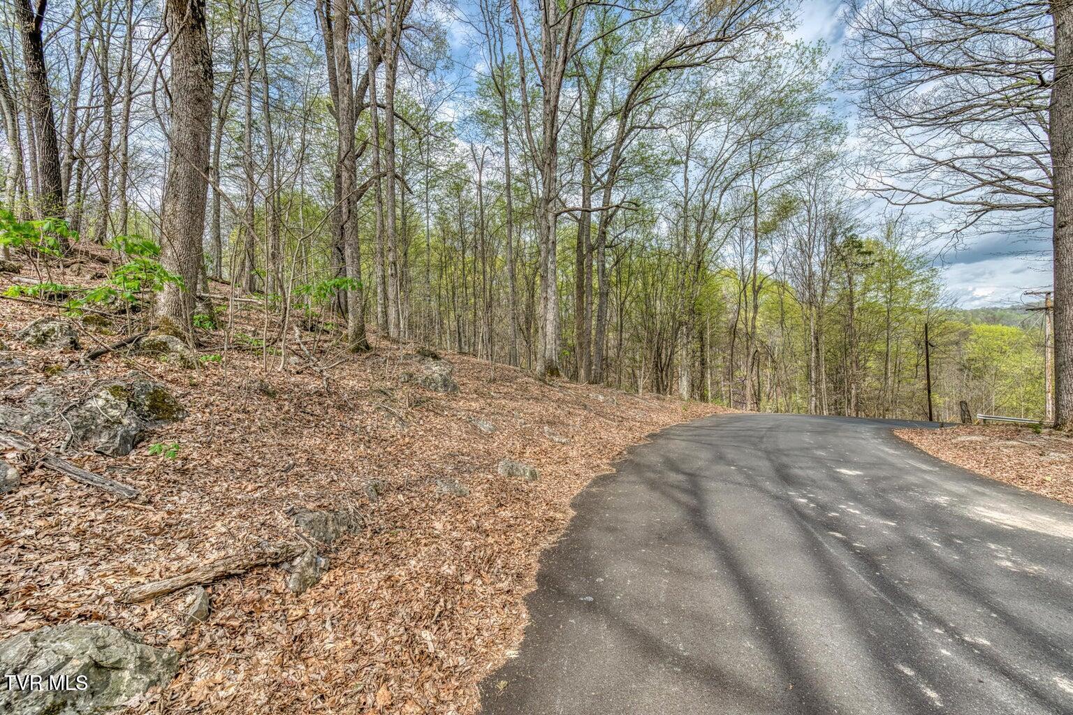 635 Harbor Springs Road Kingsport, TN 37664 - Photo 7 of 19 20250407142610728310000000-o