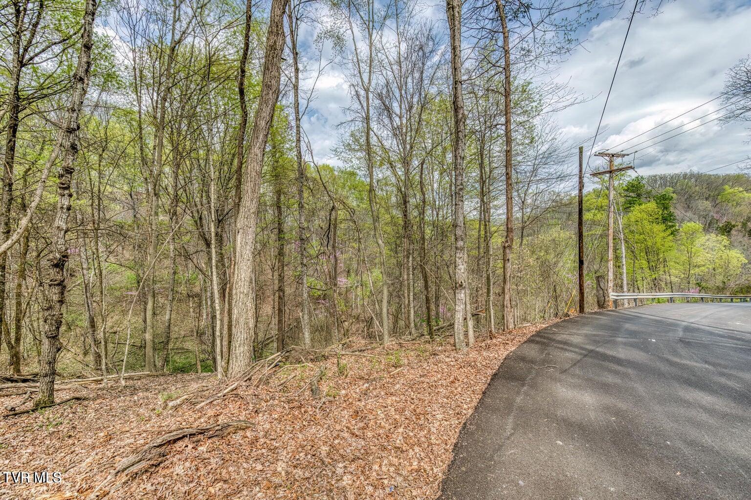 635 Harbor Springs Road Kingsport, TN 37664 - Photo 8 of 19 20250407142614232223000000-o