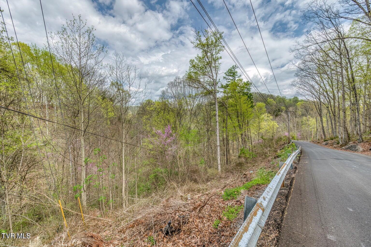 635 Harbor Springs Road Kingsport, TN 37664 - Photo 9 of 19 20250407142617692313000000-o