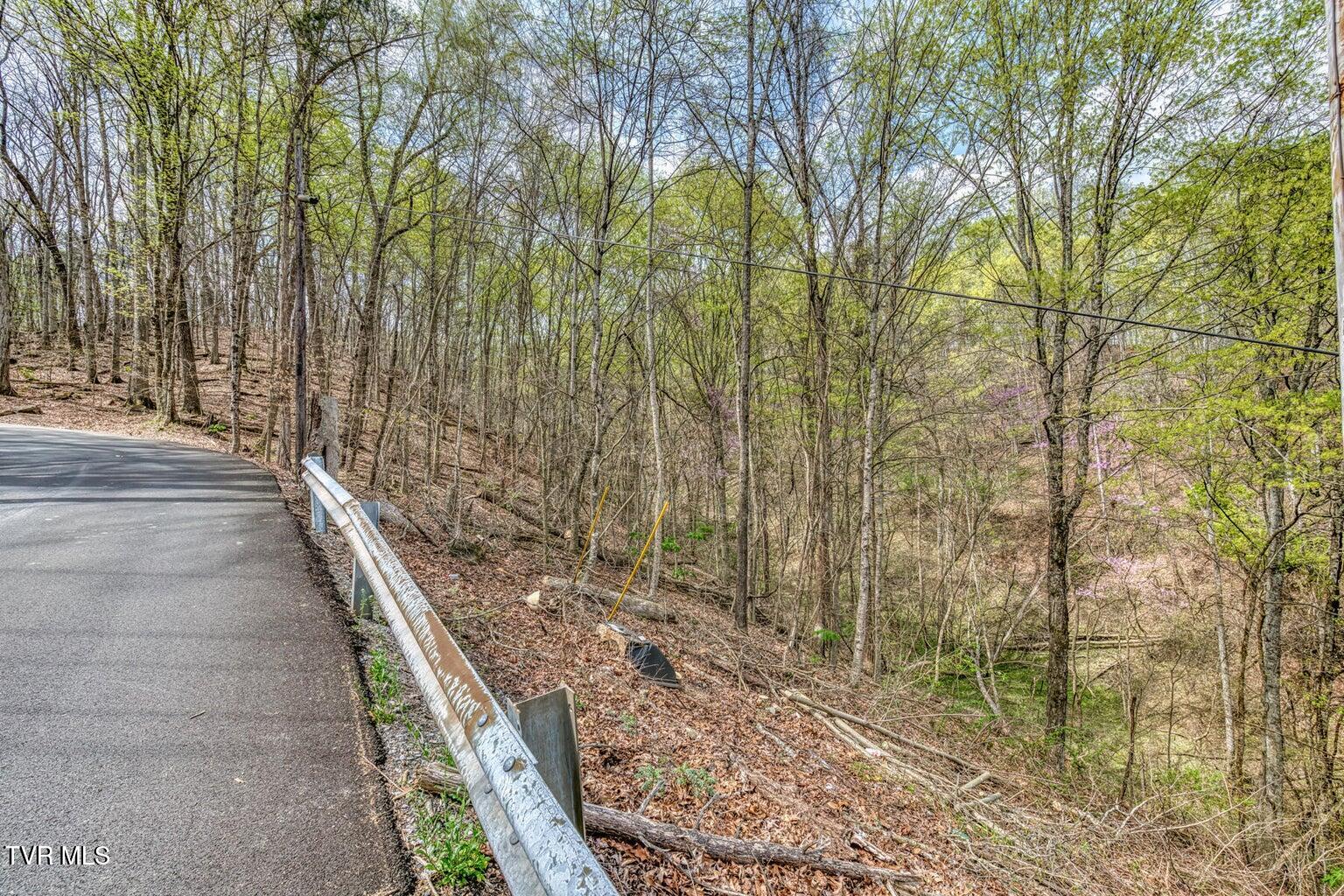 635 Harbor Springs Road Kingsport, TN 37664 - Photo 10 of 19 20250407142621489829000000-o