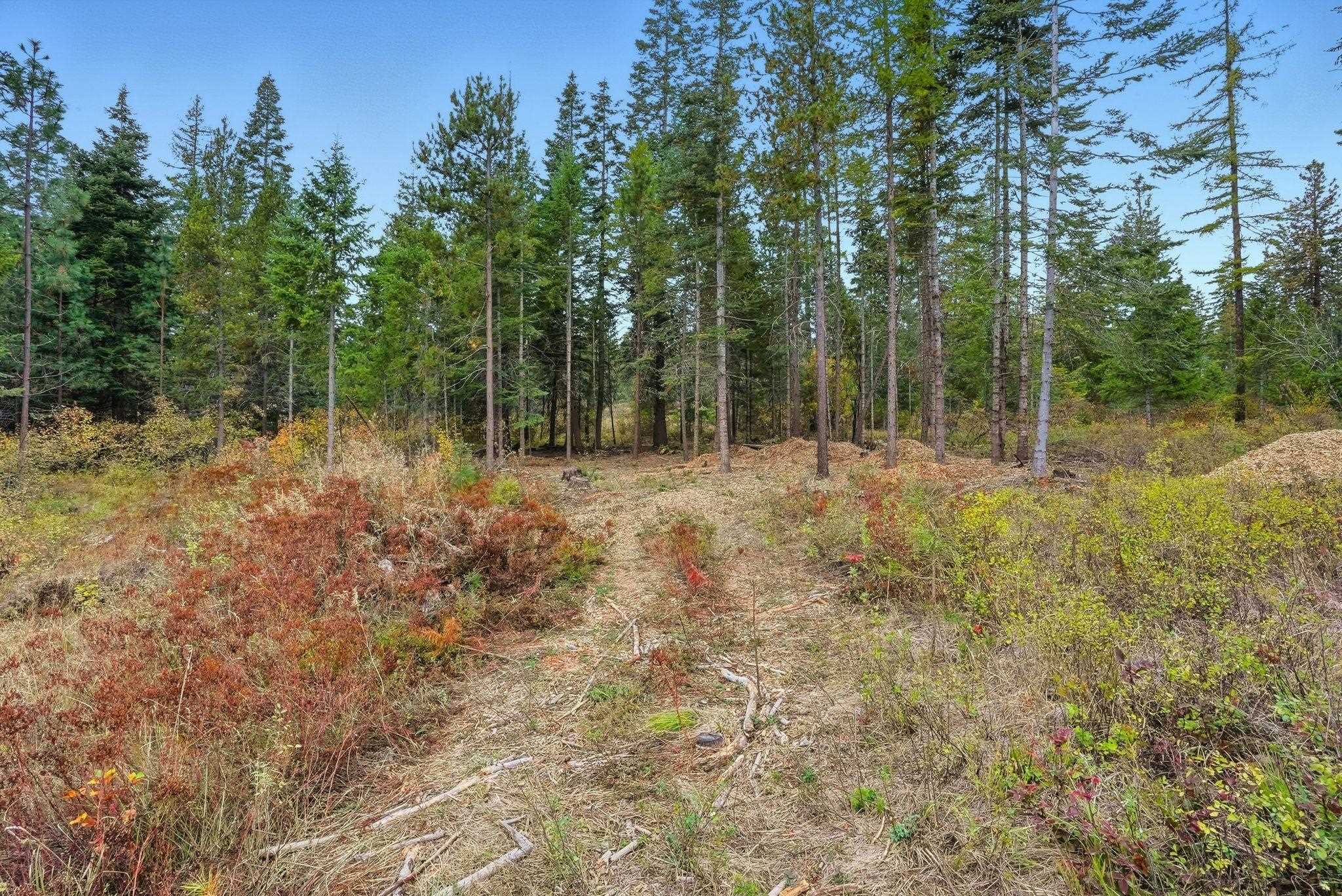 4710 B Price Road Clayton, WA 99110 - Photo 18 of 39 Gallery Image 18
