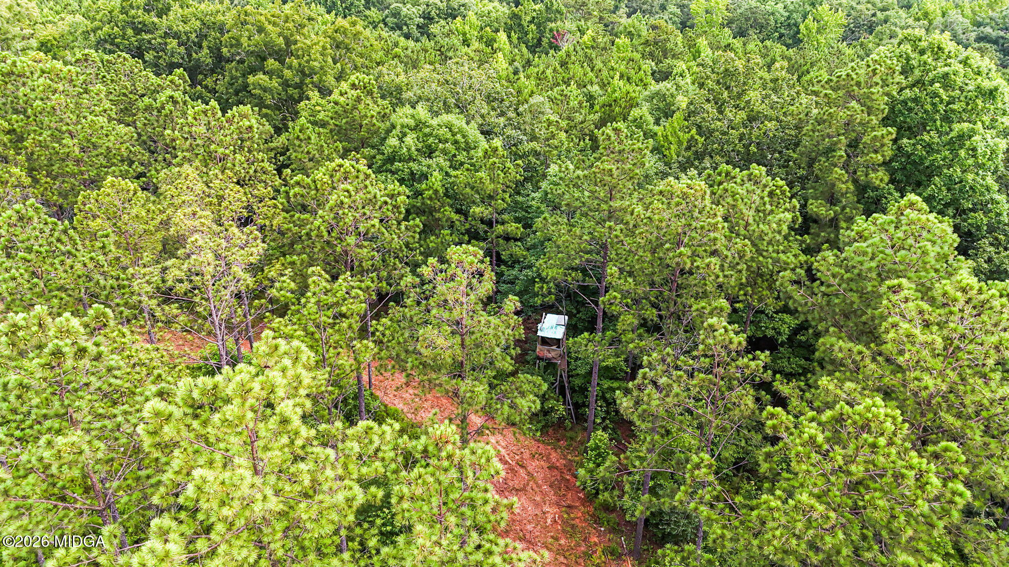 0 Howard Road Roberta, GA 31078 - Photo 4 of 14 a backyard of a house with lots of green space