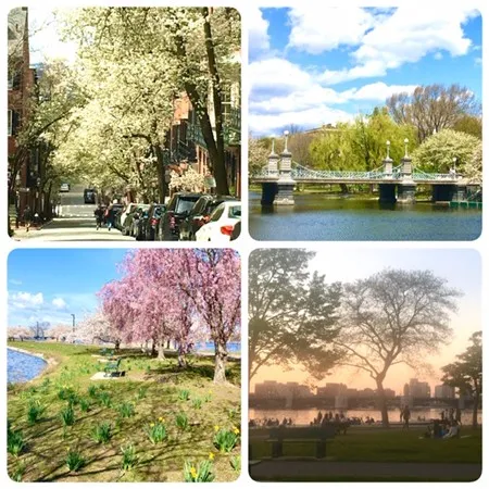 $3,500 | 45 Pinckney Street, Unit 3, Boston, MA 02114