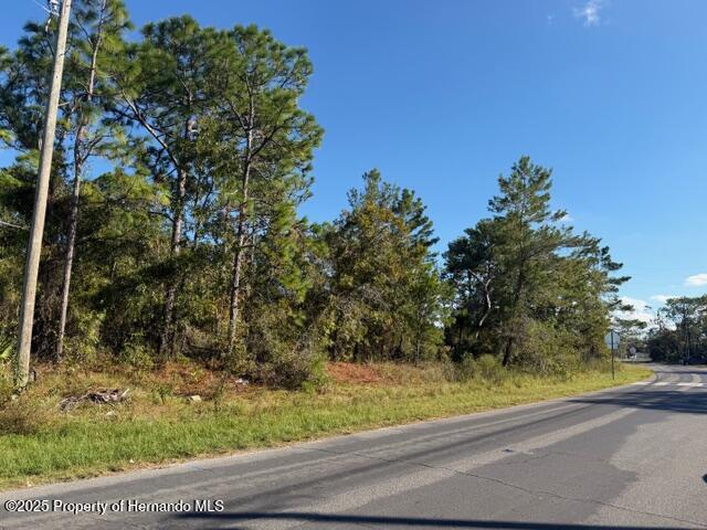 0 Lamson Avenue Spring Hill, FL 34608 - Photo 3 of 6