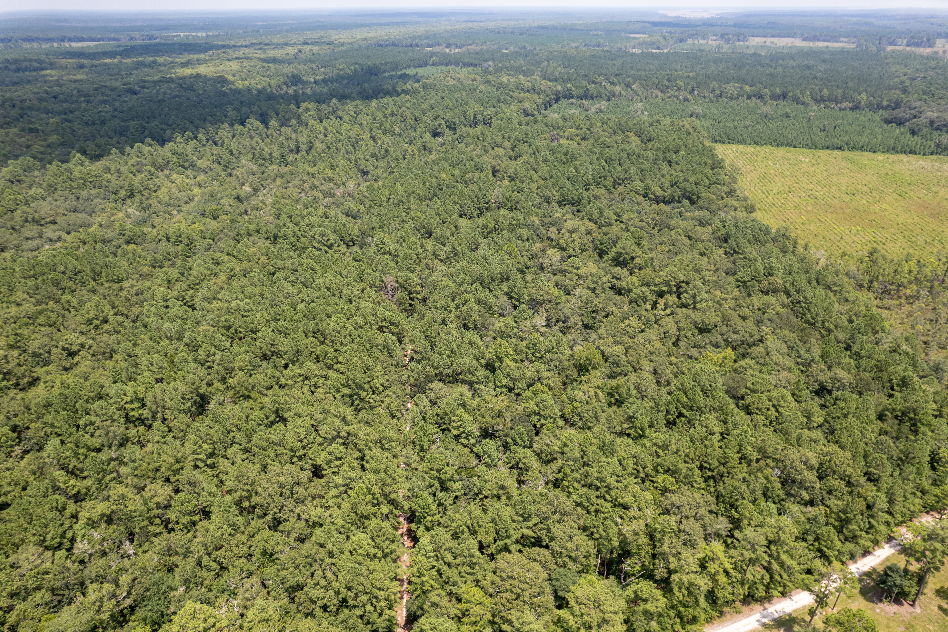 0 State Road 252 White Oak, GA 31568 - Photo 1 of 1