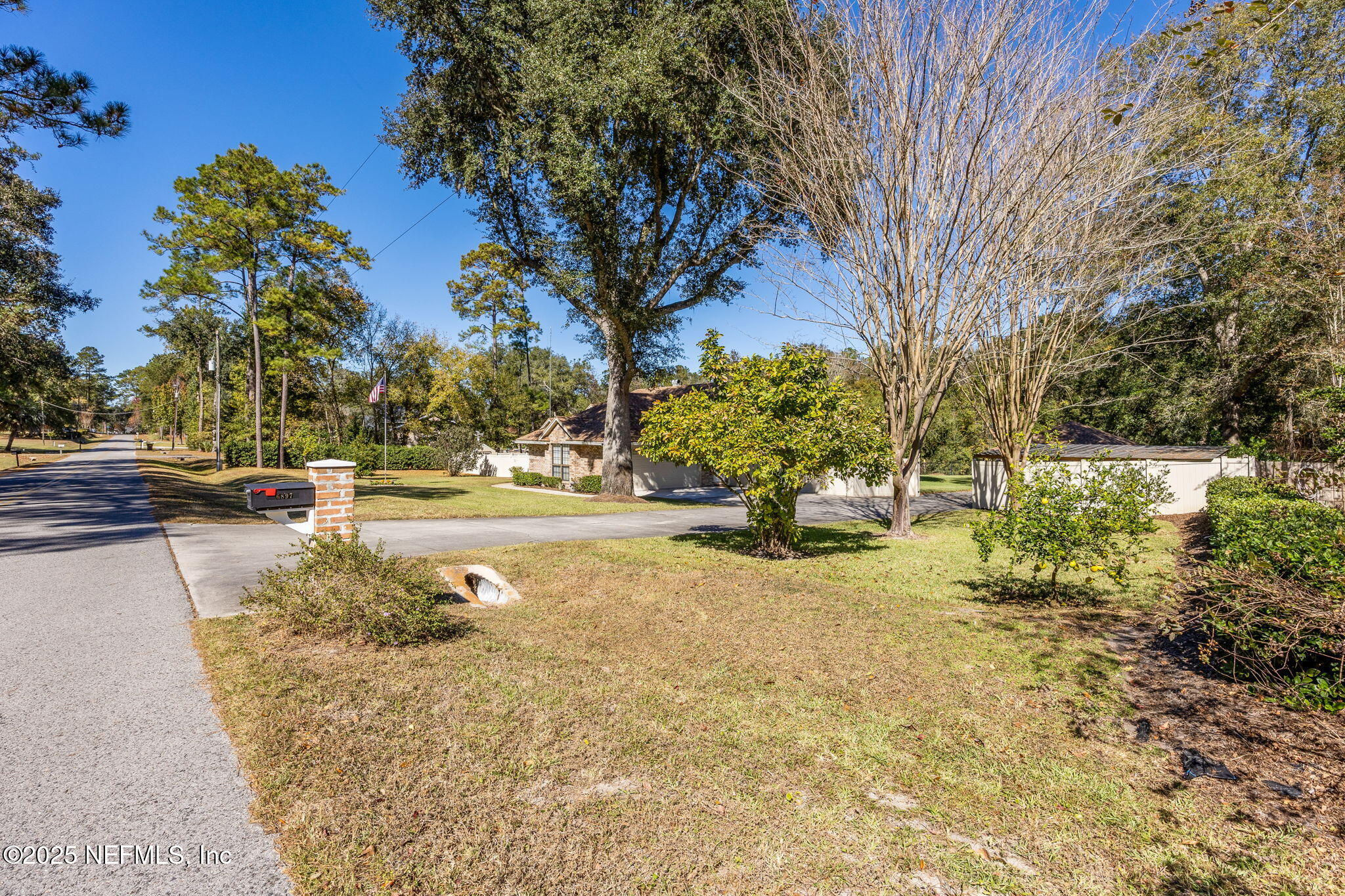 6897 Miltondale Road Macclenny, FL 32063 - Photo 44 of 58 a view of yard with tree