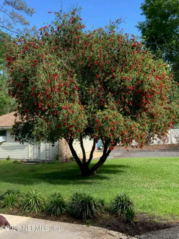 a house with a big yard and large trees