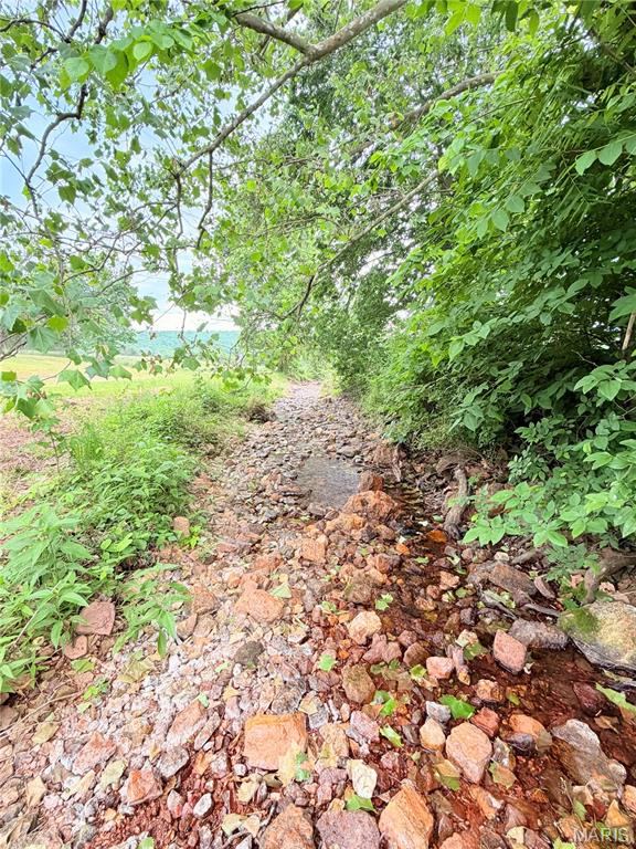 2809 County Road 115 Road Annapolis, MO 63620 - Photo 24 of 28