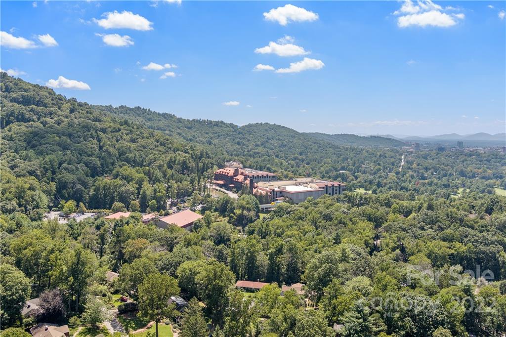 7 Maplewood Road Asheville, NC 28804 - Photo 44 of 46 Gallery Image 44