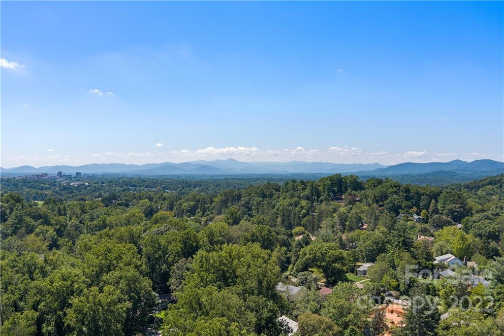 7 Maplewood Road Asheville, NC 28804 - Photo 46 of 46 Gallery Image 46