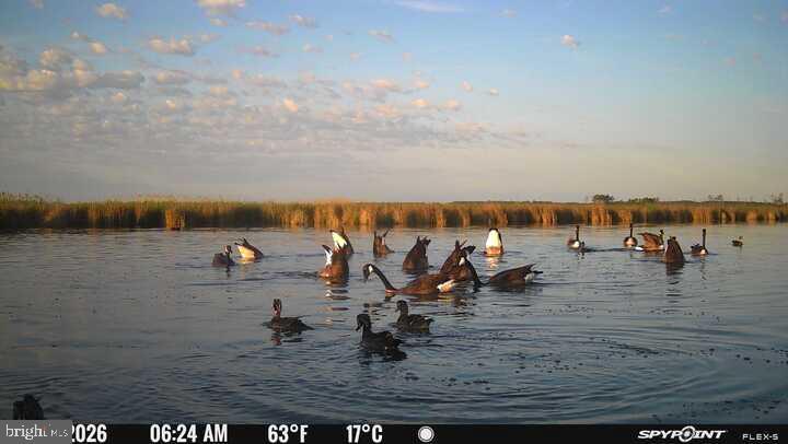 Serene morning at the wetlands