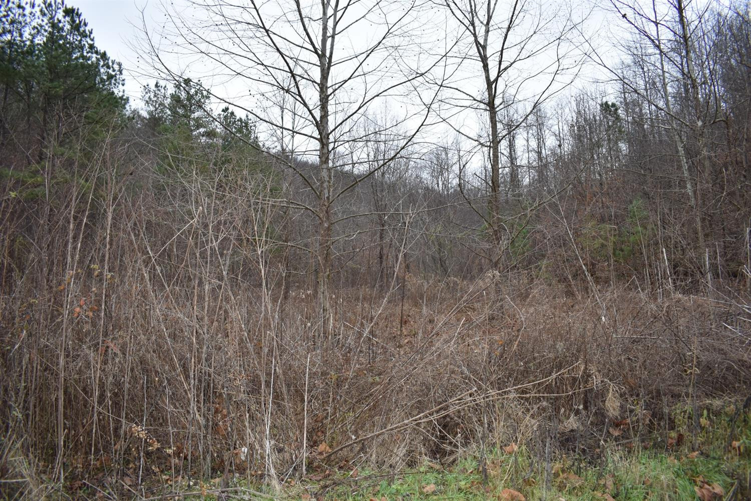 9999 East Crawfish Road Manchester, KY 40962 - Photo 46 of 52 Photo 46