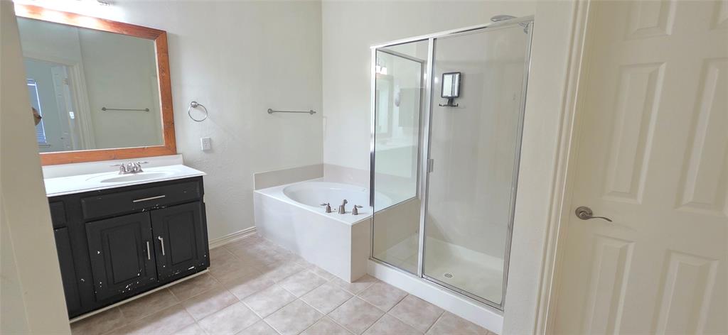 2697 Lake Ridge Drive Little Elm, TX 75068 - Photo 13 of 18 a bathroom with a tub sink vanity and a mirror