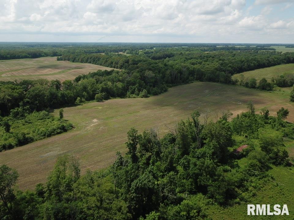 0 Carnation Road Pinckneyville, IL 62274 - Photo 11 of 46