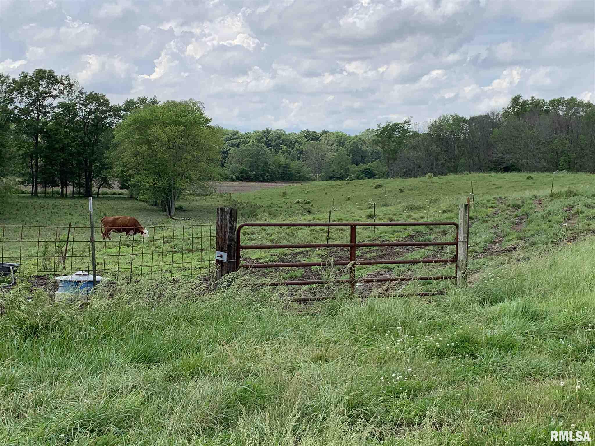 0 Carnation Road Pinckneyville, IL 62274 - Photo 44 of 46
