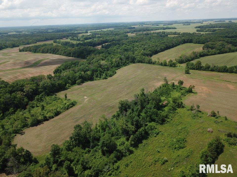 0 Carnation Road Pinckneyville, IL 62274 - Photo 5 of 46