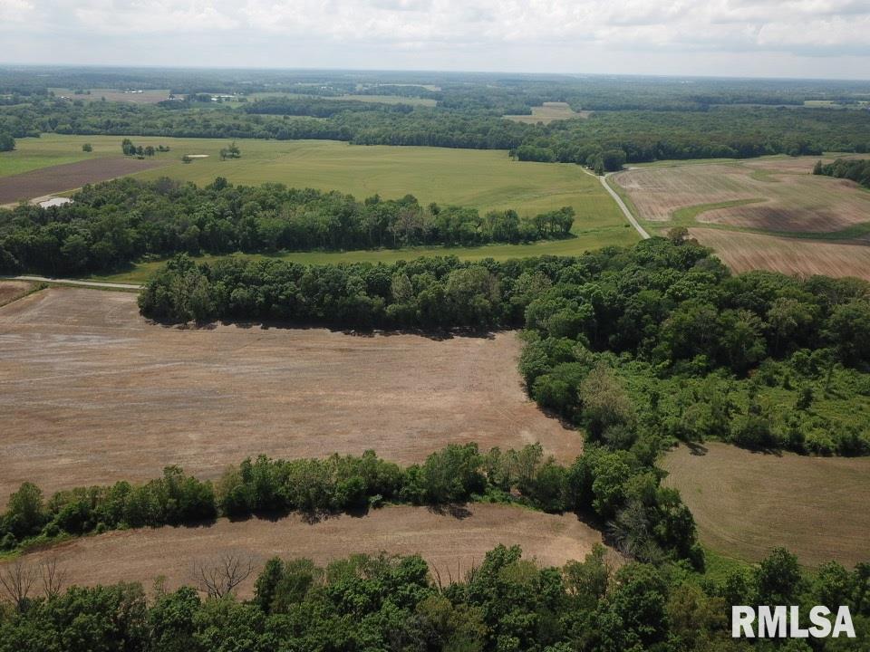 0 Carnation Road Pinckneyville, IL 62274 - Photo 6 of 46