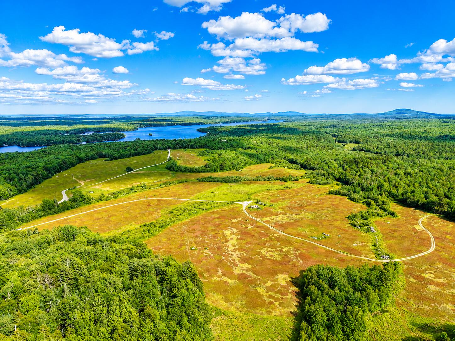 Map19-lot28 Leach Road Penobscot, ME 04476 - Photo 9 of 16 MAP19LOT28 Leach Road