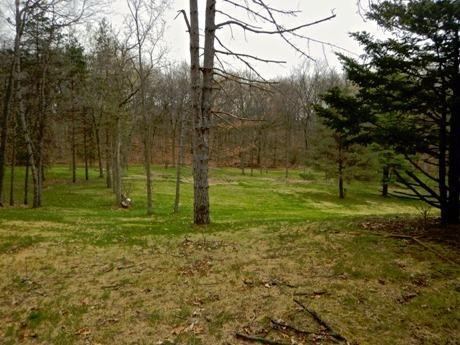 13586 Riker Road Chelsea, MI 48118 - Photo 51 of 60 Photo 51