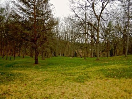 13586 Riker Road Chelsea, MI 48118 - Photo 54 of 60 Photo 54