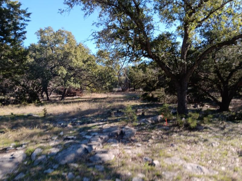 101 Timber Line Road Georgetown, TX 78633 - Photo 7 of 15 a view of dirt yard with a tree