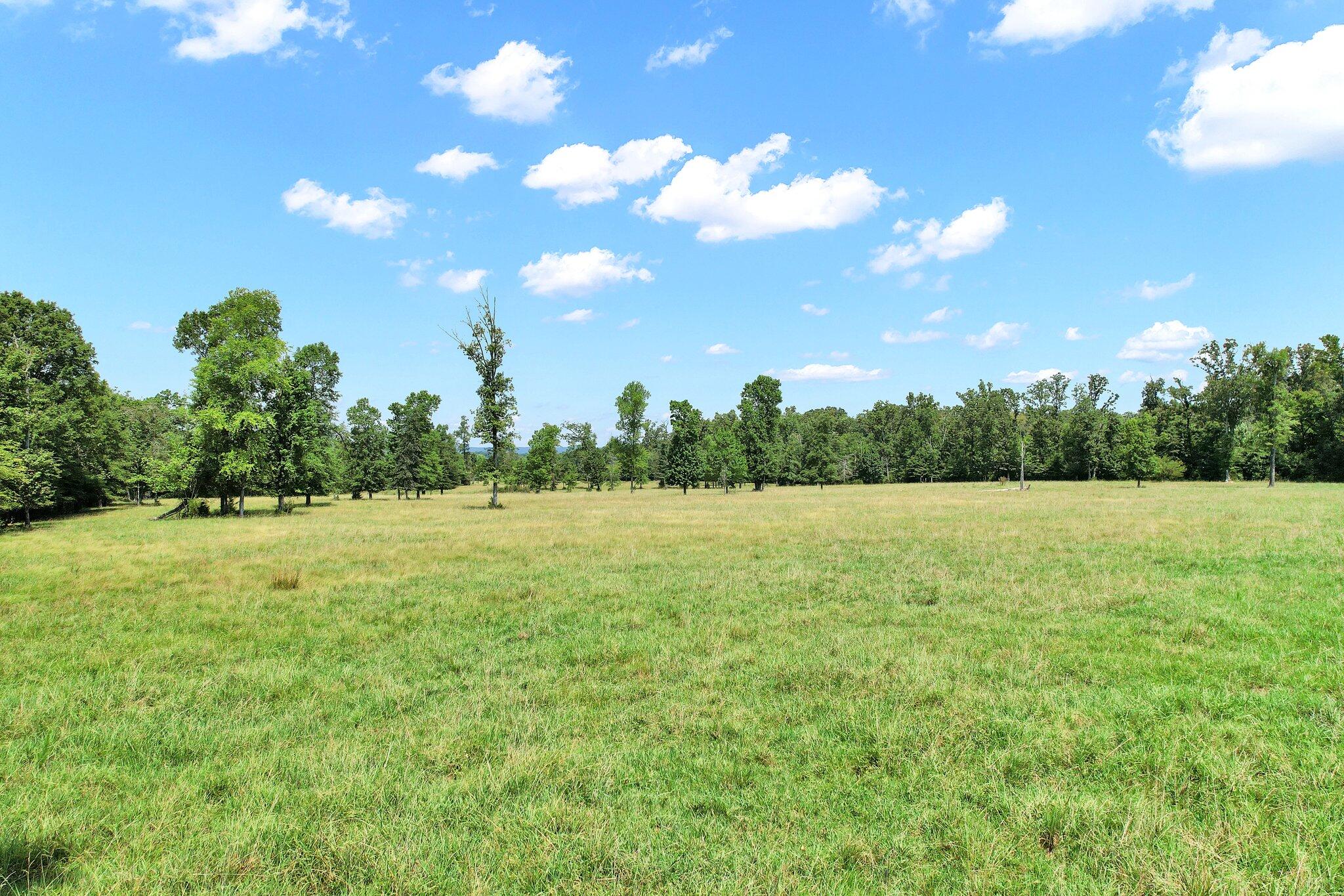 0 Double South Road Dayton, TN 37321 - Photo 13 of 23 13-web-or-mls-DJI_0875