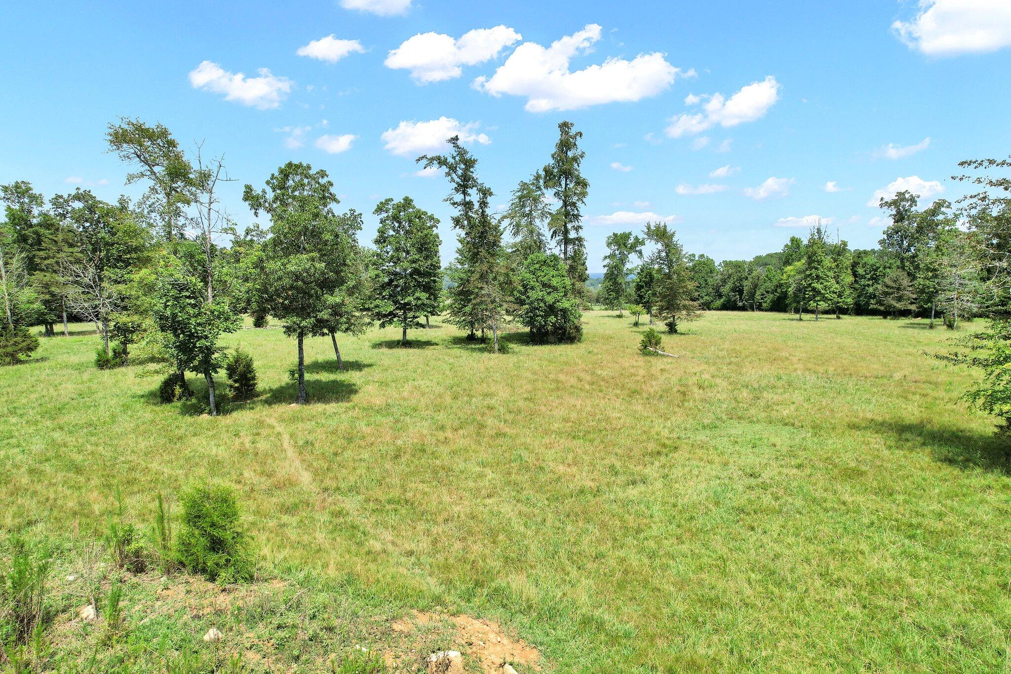 0 Double South Road Dayton, TN 37321 - Photo 17 of 23 17-web-or-mls-DJI_0883