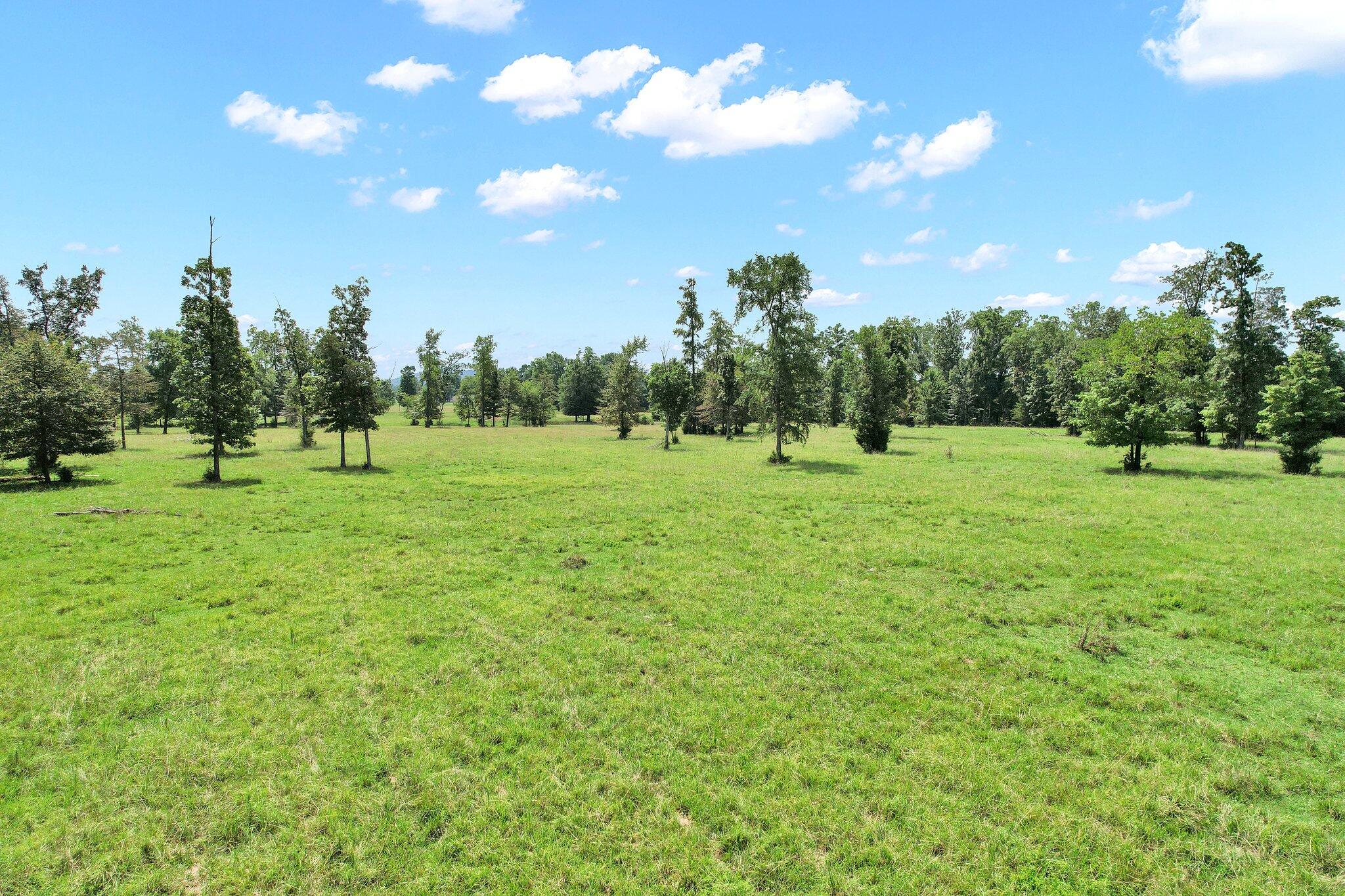 0 Double South Road Dayton, TN 37321 - Photo 21 of 23 21-web-or-mls-DJI_0892